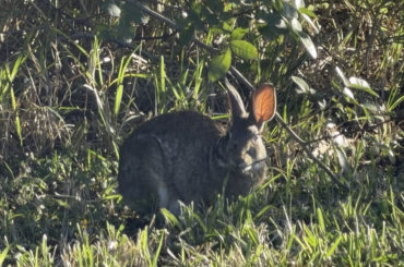 Enjoying dinner in the park 🙂