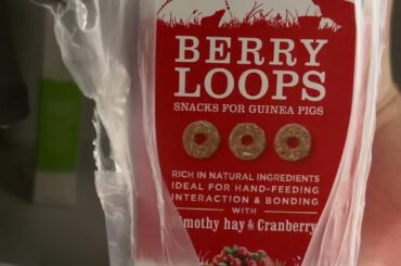 I think he likes it.