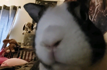 BUNJAMIN IMPORTANT ANNOUNCEMENT