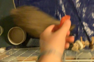 lil bro stole my melon