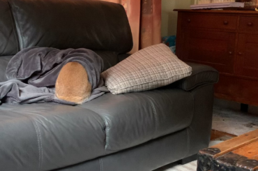 Wait for the reveal. You won’t regret it