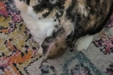 Not to brag but my man takes his pills like an angel