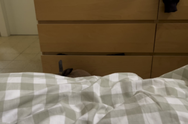 being allowed on the bed? nah I’m not interested