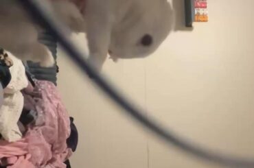 How can something so tiny be this dramatic