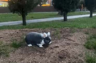 Birthday boy at the park!!