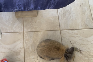 Help this dust doesn’t move with my broom