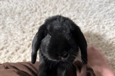 learning patience 🧘‍♀️😭