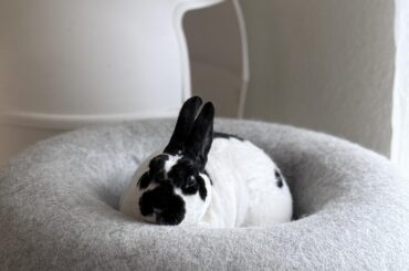 tuba hopes y’all had a good sunday