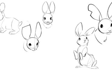 I need pictures of rabbit front feet for art.