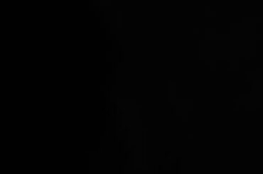 Bunny enjoying belly rubs??😲