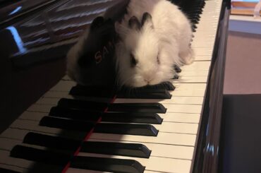 Sing us a song you're the piano man