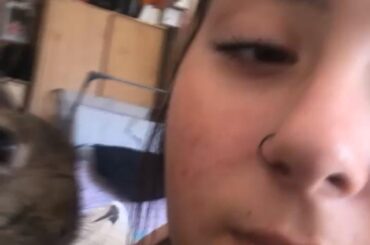 I love bunny smooches 🥹🫶🏻