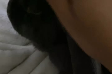 Good Morning From Zeus and I