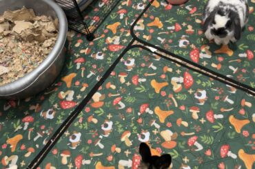 Is this considered bonded or does it get better?