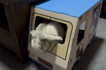 He takes Venmo @ CashApp