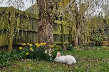 Someone has a "spring" in their step...