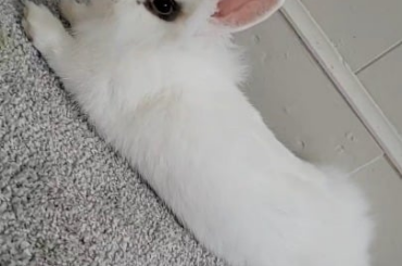 Possible health concern