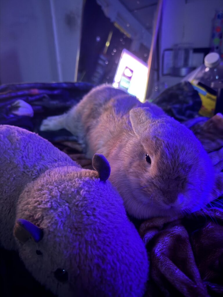 Chilling with Willow tonight :P