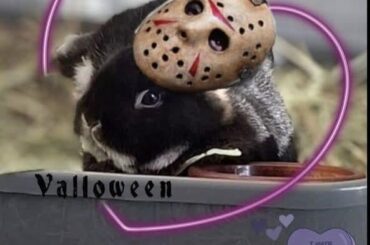 It was Luna all along?!?