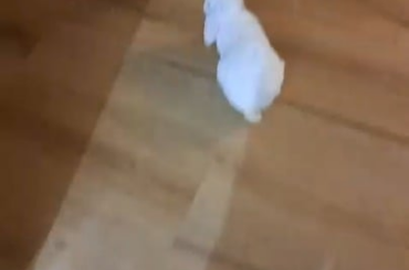 Is he having fun? Lol