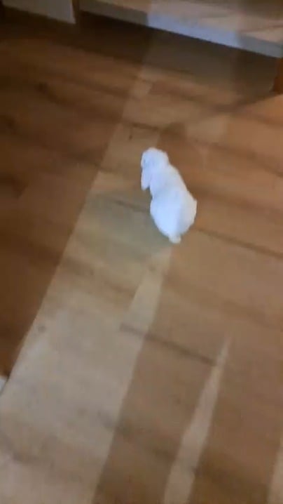 Is he having fun? Lol