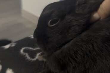 Got new nails, I thing he approves ☺️