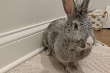 Marking(?) spare room bed