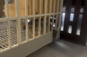 favourite spot to lounge