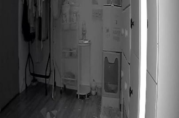 she must really like that box!