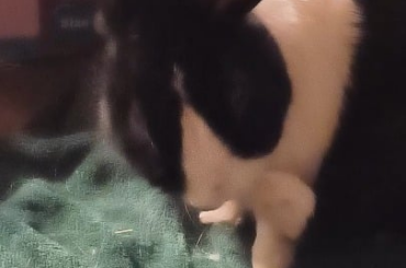 Stretchy tooooooooooes