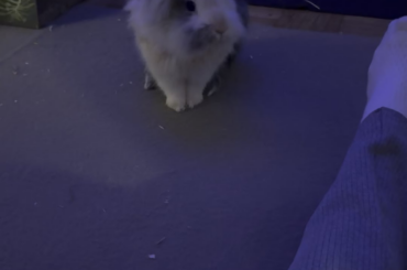 my friends is cookie time😂🍪