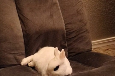 He likes when I sing to him 🥹