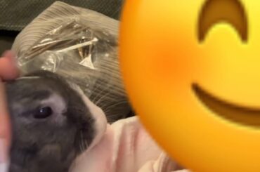 Personal space… what’s that?