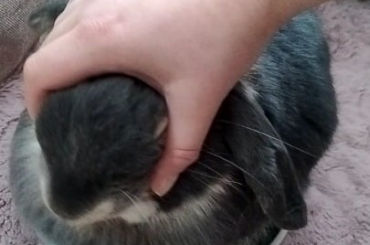 I love my strange little boy ❤️