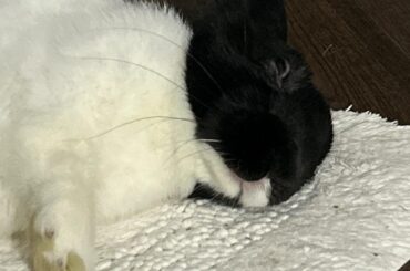 Hanni Surgery Update: It’s a Long One Lol