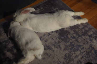 feets out for the laziest kisses