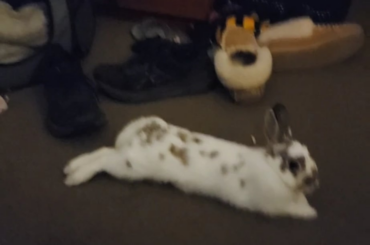 I didn't expect her to run straight into me 😭😭