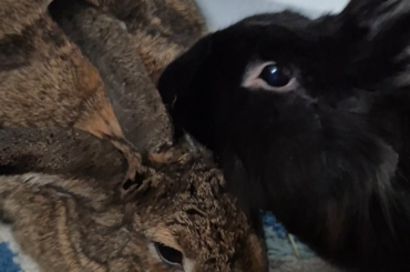 After over a year of hating each other's guts, we are making progress!