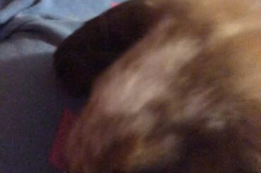 Norton says ty for the advice with his eye