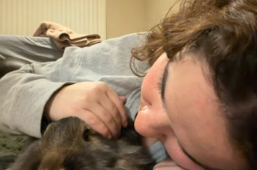 study > cuddles with the bun bun