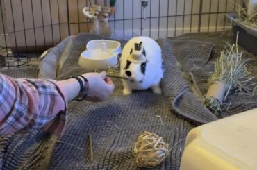 How to impress a room full of humans in 3 easy steps 🤠