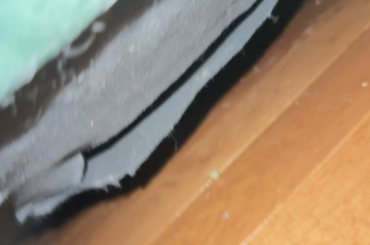 Is this safe for my bun?