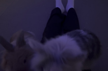 Please guys give him cookies🍪