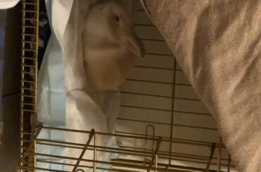 Guess who’s back??