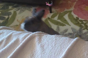 Why does she do this?