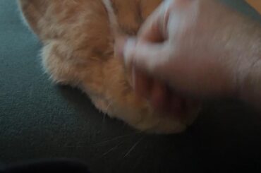 Been trying to go to bed for an hour now…