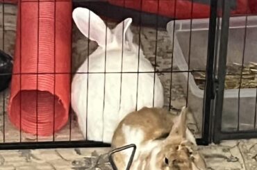 Do y’all like each other or not?