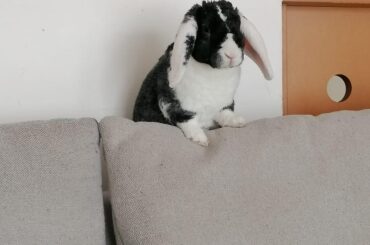 He loves posing for the cameras