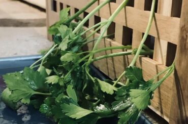 Short horror story from a parsleys perspective