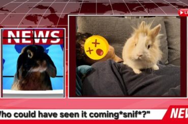 A Human died of natural causes right after nail trimming.